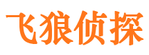 开远寻人公司